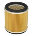 Hiflofiltro Hfa2910 Premium Oe Replacement Air Filter 