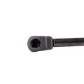 Liftgate Struts Shocks Lift Supports Gas Springs For Nissan Quest 2004 2009 4589 Sg225016 Set Of 2 
