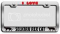 I Love Selkirk Rex Cat Chrome Metal License Plate Frame Heavy Duty Stainless Steel Tag Holder For Us And Canada Vehicles 12 5 X