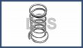 Bmw Genuine Spring For Chmsl 