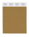 Pantone Smart 17-0942x Color Swatch Card Medal Bronze 