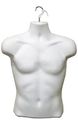 Upper Male Torso Form White 