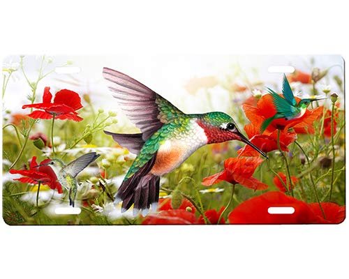 Hummingbird License Plate
