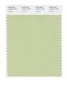Pantone Smart 14-0217x Color Swatch Card Seedling 