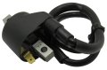 Ignition Coil Assy For Polaris Sportsman 500 1996-2000 2002