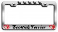 Scottish Terrier Dogs Pets Chrome Metal License Plate Frame Tag Holder A61 
