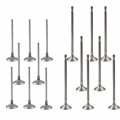 16 Piece Intake And Air Out Engine Valves Kit Replacement For Mini Cooper R56 2007 To 2016 Part Number 11347533884 11347533885