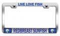 Live Love Fish Redbreast Sunfish Fishing Chrome Metal License Plate Frame Tag Holder P15 