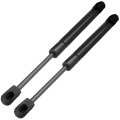 Trunk Lift Supports Gas Springs For Infiniti G35 2003 2004 2005 2006 2007 2008 10 82 Extended And 8 32 In Compressed Length 