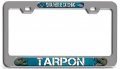 I D Rather Be Catching Tarpon Fishing Ch 3d Metal License Plate Frame Auto Suv Truck Tag Holder G92 