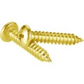 Gordon Glassa Brass Plated 6 X 1 2 Self-tapping Screws Phillips Pan Head Zinc 40 