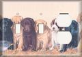 Two Switch One Duplex Receptacle Plate Dog Gathering 