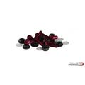 Puig 0956r Red Windscreen Screw Kit With Nut 