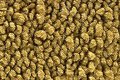 Die Cut Loop Complete Carpet Floor Mats Fits 1966-1966 Pontiac Catalina Ventura Gold