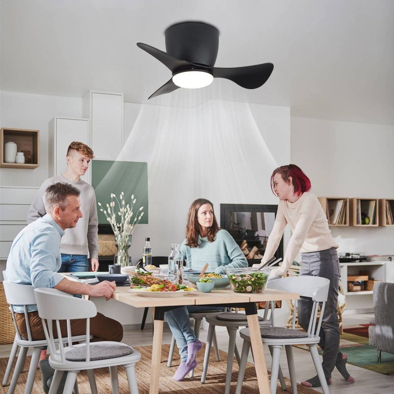 Gesum Ceiling Fan With Lights 22 Lnch Small Light 3 Reversible Blades Low Profile For Kitchen Bedroom Dining Room Colors 6
