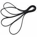 Xspeedonline We03x29897 Dryer Belt We12m29 Drum Drive Replacement Gtd33eask0ww Gtd42easj2ww Gtdp490ed7ws Dbsr463eg6ww