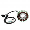 Topteng Magneto Generator Stator Fit For Honda Crf110f 2019-2023 Repl