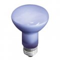 Ge Reveal 45-watt Dimmable R20 Flood 42740 Incandescent Light Bulb 2-pack 