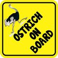 5in X Ostrich On Board Animals Magnet Magnetic Vehicle Sign By Stickertalk 