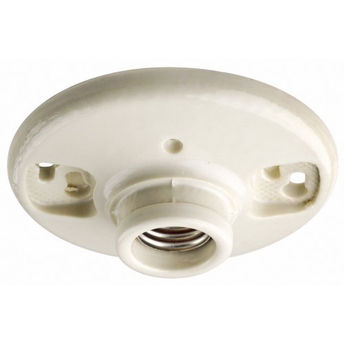 Leviton 49875-2 Outlet Box Lampholder Single Circuit