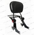 Smt-detachable Backrest Sissy Bar W Luggage Rack Compatible With Hd Sportster 94-03 Adjustable B0777bh9pg