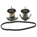 Motorad 716-200 Thermostat
