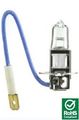 H3 12v 55w Halogen Automotive Bulb 55 Watt 12 Volt Pk22s Long Life Auto 