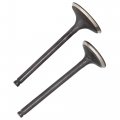 Niche Cylinder Head Intake Exhaust Valve Kit For Honda Rancher Trx350 14711-hn5-m00