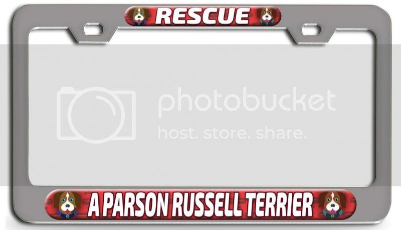 Rescue A Parson Russell Terrier Dogs Pets 3d Metal License Plate Frame Universal Fit For Auto Suv Truck Tag Holder 12 In X 6