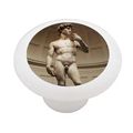 David By Michelangelo Ceramic Drawer Knob High Gloss White Round Cabinet Pull With Hardware 1 5 In Diameter 