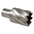 High Speed Steel Annular Cutter 5021-1187 1-3 16 In Diameter 2 Depth Of Cut 3 4 Shank Production Grade Hss Spiral Flute For 