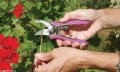 Dramm Corp 18013 Compact Pruner 1 Ea Yellow