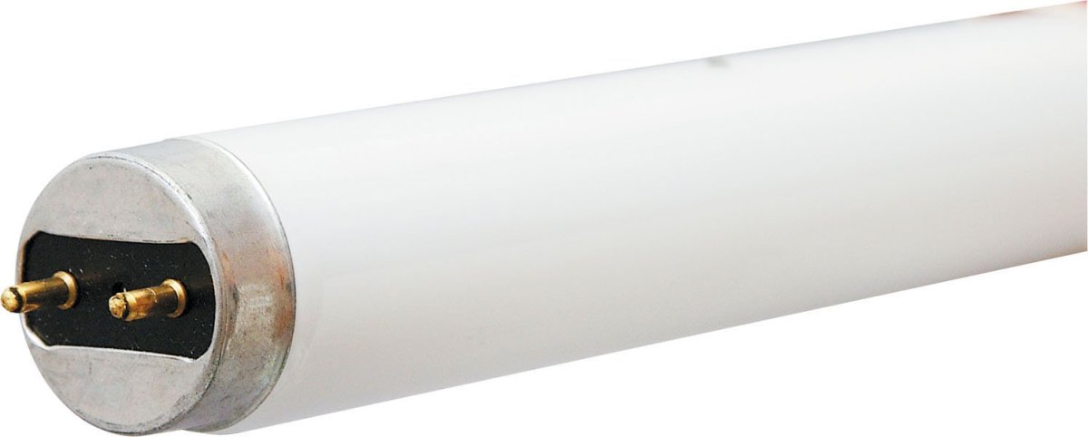 Bulb-flur F15t8 Kb Ge