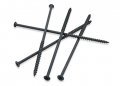 10 Coarse Thread Sharp Point Drywall Screws Phillips Drive 2 Bugle Head Black Alloy Steel For Sheetrock And Wood 6 In 