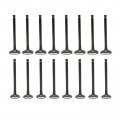Secosautoparts 0k2nc12111 0k2nc12121 Intake Exhaust Valves For Kia Rio 1 6l Dohc 16v A6d 2003-2005