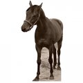 H28002 Seabiscuit Cardboard Cutout Standup 