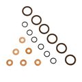 Bd Diesel Isb Fuel Injector Seal Kit 