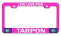 Live Love Fish Tarpon Fishing Pink Metal License Plate Frame Heavy Duty Stainless Steel Tag Holder For Us And Canada Vehicles 