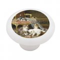 Gotham Decor Mischief Makers By Huber Ceramic Drawer Knob 