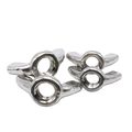 Wing Nuts Stainless Steel M3 To M12metricpack Of 20 Pieces M8 Pitch 1 25mm