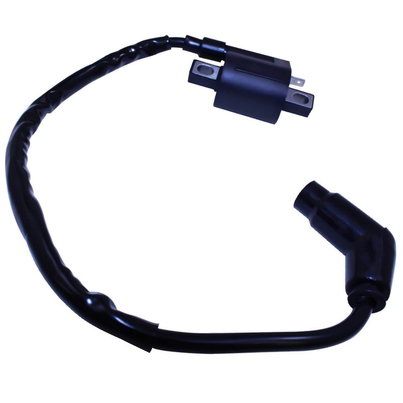 Ignition Coil For Arctic Cat 250 1999-2005 454 1996-1998 3530-004