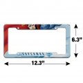 Superman Solitude License Plate Tag Frame