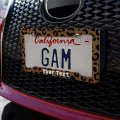 Personalized Custom 1 Line Leopard Animal Print License Plate Clear Frame