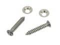 1968-1982 Corvette Kick Panel Screws C3 