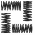 Caltric 4x Valve Spring Compatible With Honda 14751-hn2-000 Width 24mm Height 51mm Thickness 3mm