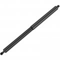 Ocpty Powered Lift Supports Gas Springs Struts Shocks Ft4z14b351a Ft4z58406a10b Fit For Ford Edge 2015-2018