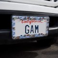 Mountain Fly Fishing Bear Stream Lake Fish License Plate Tag Frame