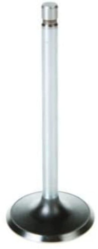 V1931 Intake Valve Stock Size