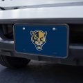 Graphics More Florida International Secondary Novelty Metal Vanity Tag License Plate