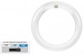 Feit Electric Fc8 3cct Led Non Dimmable Indoor 8 Led Circline Light Bulb Warm White Cool Or Daylight With A Standard Switch